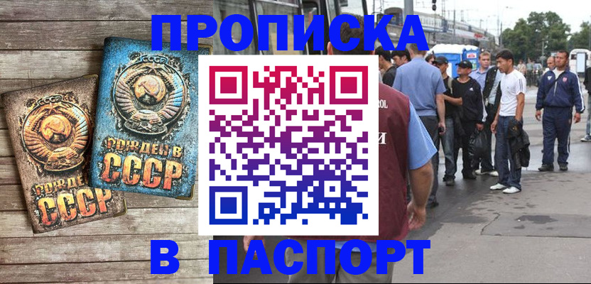 прописка штамп в Апатитах